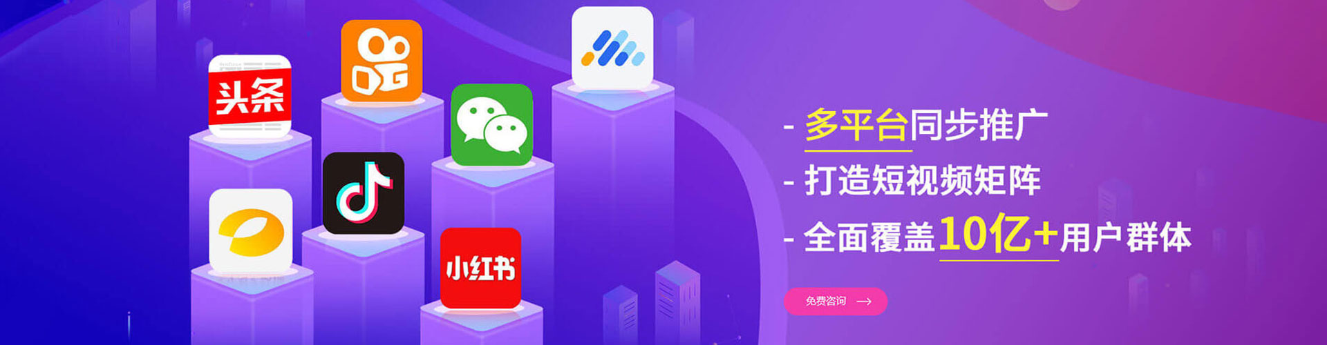 树林竞价开户推广